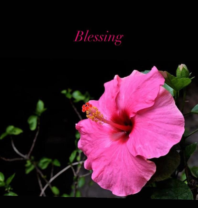 Blessing House Lägenhet Neapel Exteriör bild